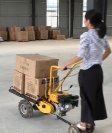 gas powered wheelbarrow for rent