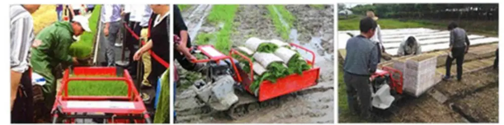 tracked wheelbarrow hire