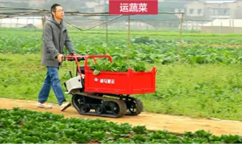 used track barrow