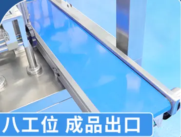 Finished Conveyor Belt