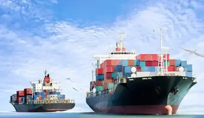 proceso de importación